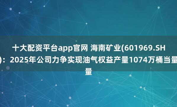 十大配资平台app官网 海南矿业(601969.SH)：2025年公司力争实现油气权益产量1074万桶当量